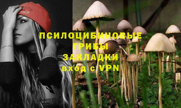 2c-b Каменка