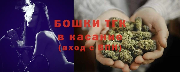 2c-b Каменка