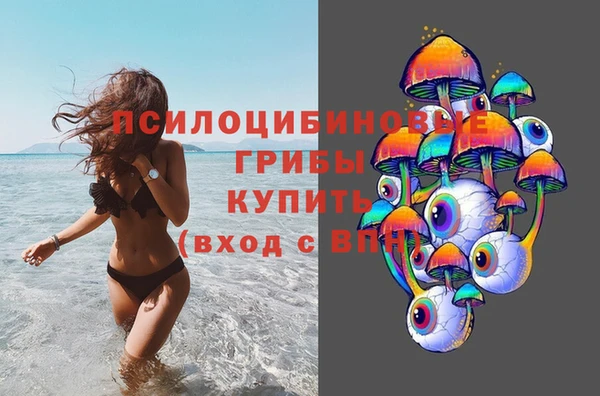 шишки Каменск-Шахтинский