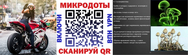 Псилоцибиновые грибы GOLDEN TEACHER  Купить  Касли 